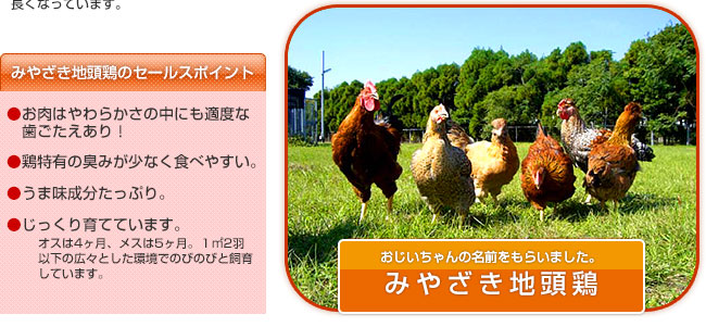 �݂₴���n���{�̃Z�[���X�|�C���g�@�������͂��炩���̒��ɂ��K�x�Ȏ�����������I���{���L�̏L�݂����Ȃ��H�ׂ₷���B�����ܖ����������Ղ�B�����������ĂĂ��܂��B�I�X��4�����A���X��5�����B�P�F2�H�ȉ��̍L�X�Ƃ������ł̂т̂тƎ��炵�Ă��܂��B