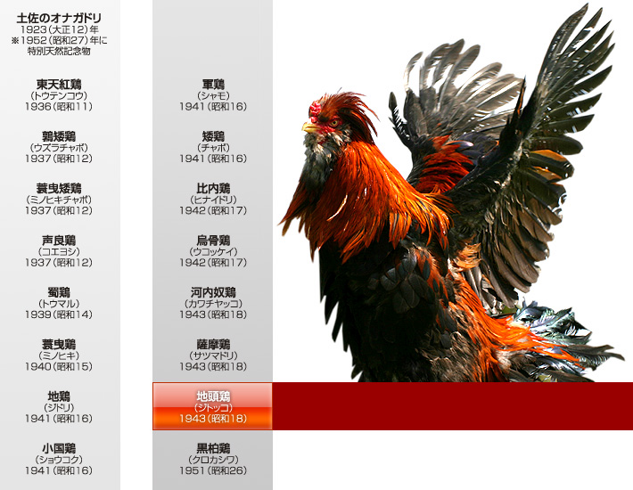 �V�R�L�O���̎w��N